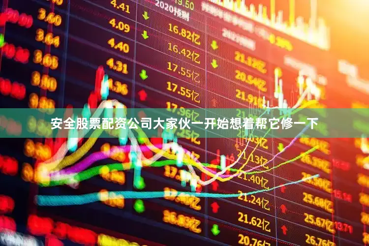 安全股票配资公司大家伙一开始想着帮它修一下